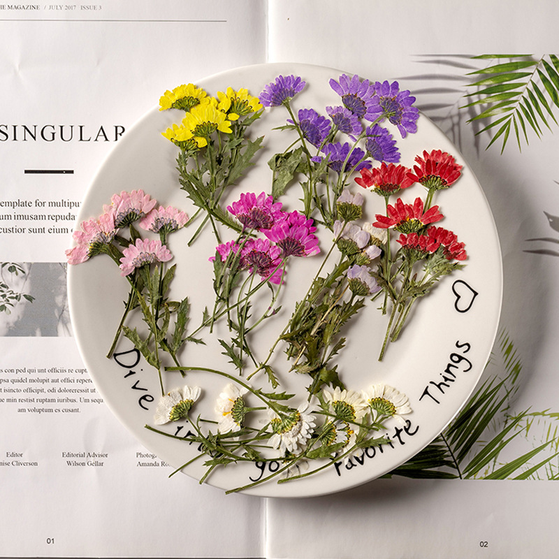 5-8cm/24pcs,Side Pressed Cryst - Dried Flower Bookmark 评论和价格